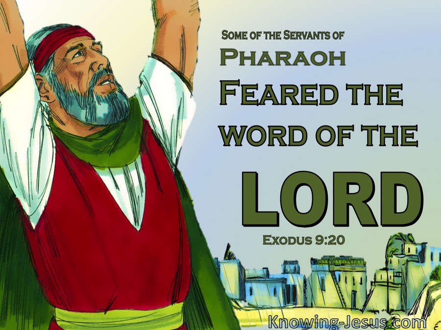 Exodus 9:20 Some Of Pharoah's Servants Feared God (green)
